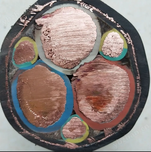 變頻器專(zhuān)用軟電纜BPYJVP12R